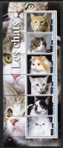 BENIN - 2003 - Domestic Cats #1 - Perf 6v Sheet - MNH - Private Issue