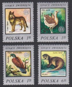 Poland Kestrel Bustard Birds Endangered Animals 4v 1977 MNH SC#2215-2218