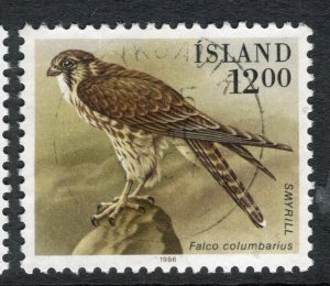 ICELAND; 1980s early Birds issue fine used 12k. value