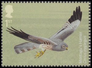 GB 4660 Migratory Birds Montagu's Harrier 1st single MNH 2022