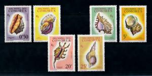 [99747] Comores Comoros 1962 Marine Life Sea shells  MNH