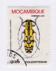 Mozambique          584             used