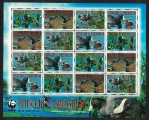 Antigua and Barbuda Birds WWF Caribbean Coot Sheetlet of 4 sets 2009 MNH