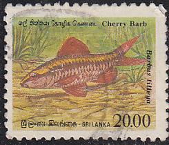 Sri Lanka 980 Cherry Barb 1990
