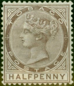 Tobago 1880 1/2d Purple-Brown SG8 Good Mtd Mint