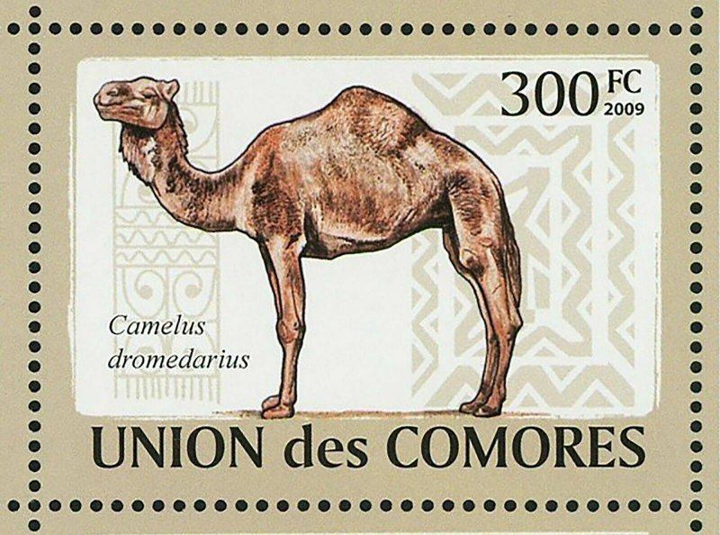 Camels Stamp Camelus Dromedarius Camelus Bactrianus S/S MNH #2128-2133 