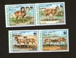 Afghanistan 1998 Sc 1557a-d WWF set MNH