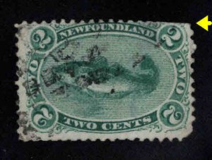 NEWFOUNDLAND Scott 24  cod fish stamp Used cut perf at top