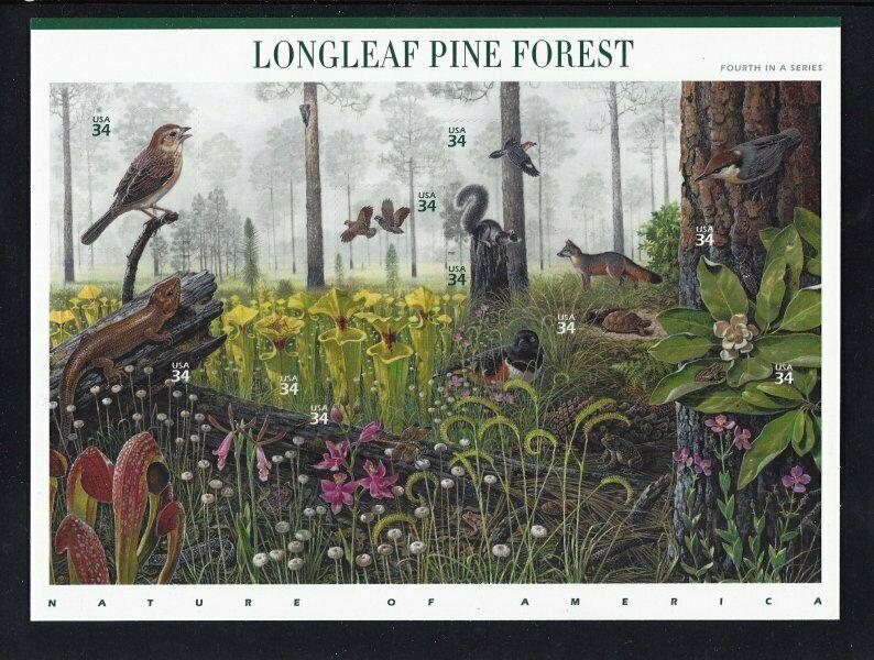 U.S. SCOTT #3611 - NATURE OF AMERICA SERIES #4 - LONGLEAF PINE  -  MNH SHEET