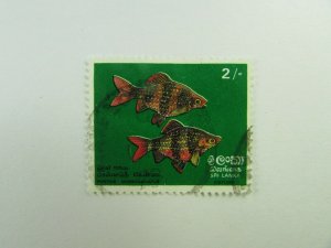 1972 Sri Lanka Ceylon SC #476  FISH  Used stamp