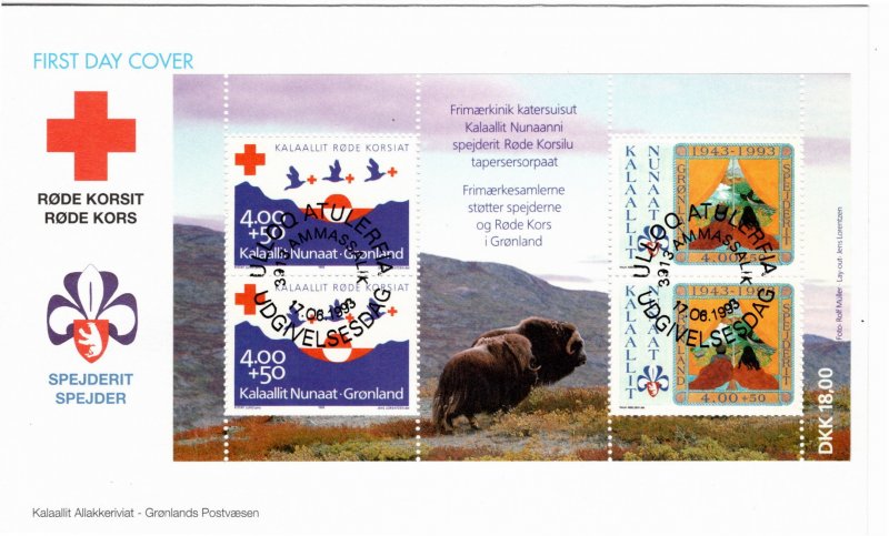 Greenland 1993 Sc B18a souvenir sheet FDC