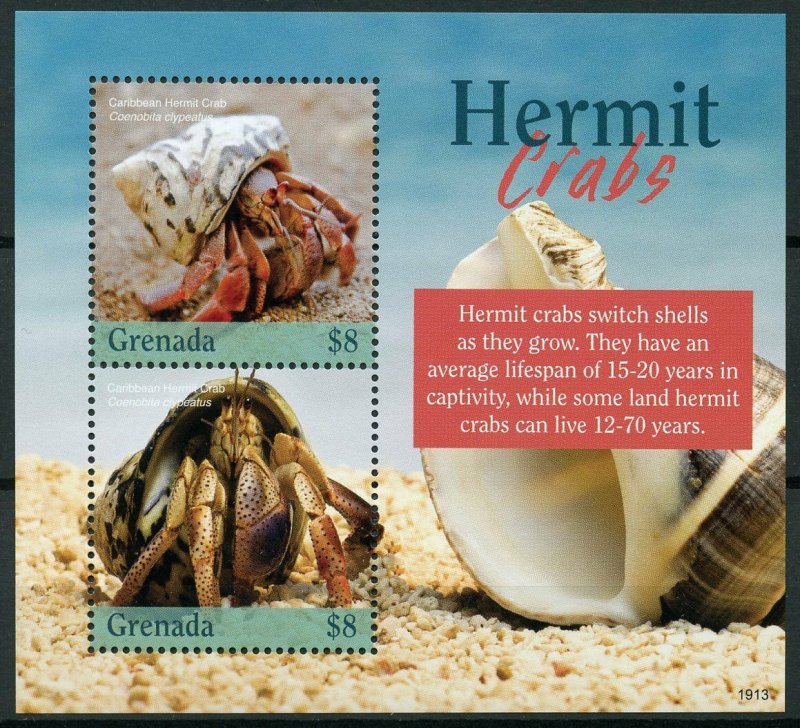 Grenada 2019 MNH Hermit Crabs 2v S/S Seashells Marine Animals Stamps