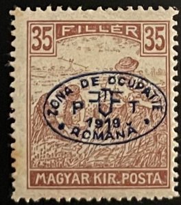 Hungary, 1918, SC 2N13, MNH,  VF