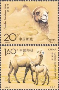 CChina 1993-3 Wild Camel Stamps animal  2V MNH