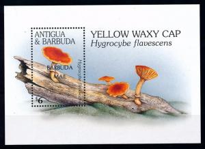 [68742] Barbuda 1997 Mushrooms Pilze Champignons OVP Barbuda Mail Sheet MNH