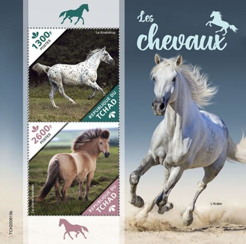 Chad 2020 Horses Knabstrupper, Icelandic 2 Stamp Souvenir Sheet TCH200615b