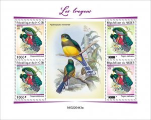 NIGER - 2022 - Trogons - Perf 4v Sheet - Mint Never Hinged