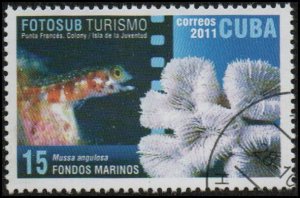 Cuba 5250 - Cto - 15c Stony Coral / Fish (2011)