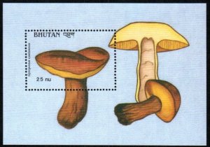 Bhutan Stamp 726  - Gyroporus castaneus mushroom