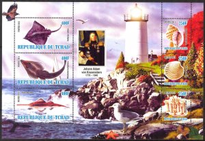 Chad 2011 Lighthouses Shells Fishes (3) MNH Cinderella !