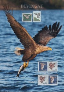 Sweden 2609-2611 collector's sheet w/ MNH birds of prey eagles owls