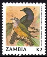 Zambia - 1991 Birds K2 Shrike MNH** SG 632