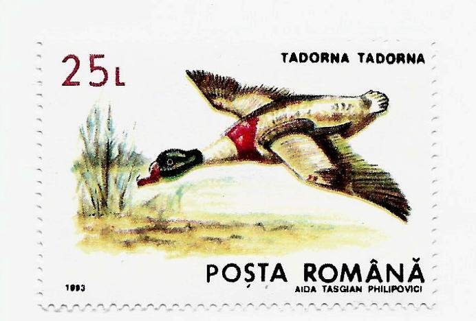 Romania 1993 - MNH - Scott #3831 *