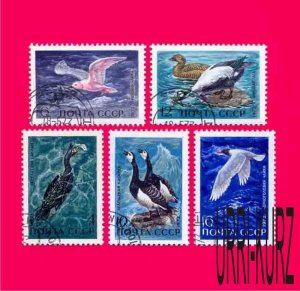 USSR Russia 1972 Nature Fauna Water Birds 5v Sc3839-3943 Mi3974-3978 CTO