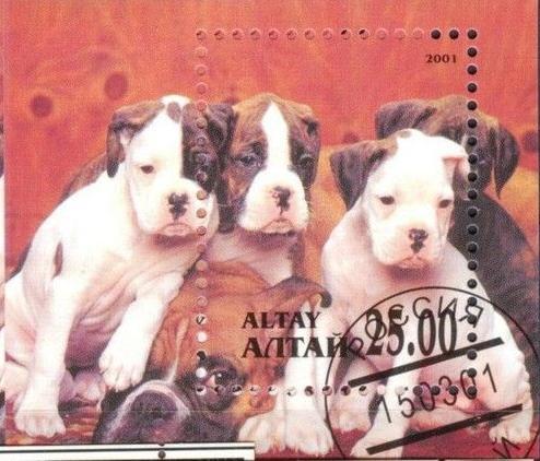 ALTAY SHEET USED DOGS