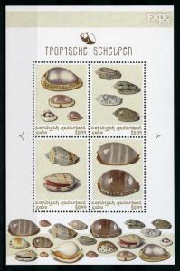 Dutch Caribbean Saba 2018 MNH Tropical Shells 4v M/S Seashells Stamps