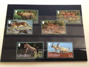 Gibraltar 2012 Endangered Animals mint never hinged  stamps  set A14037