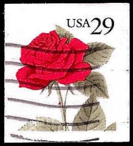 # 2490 USED RED ROSE