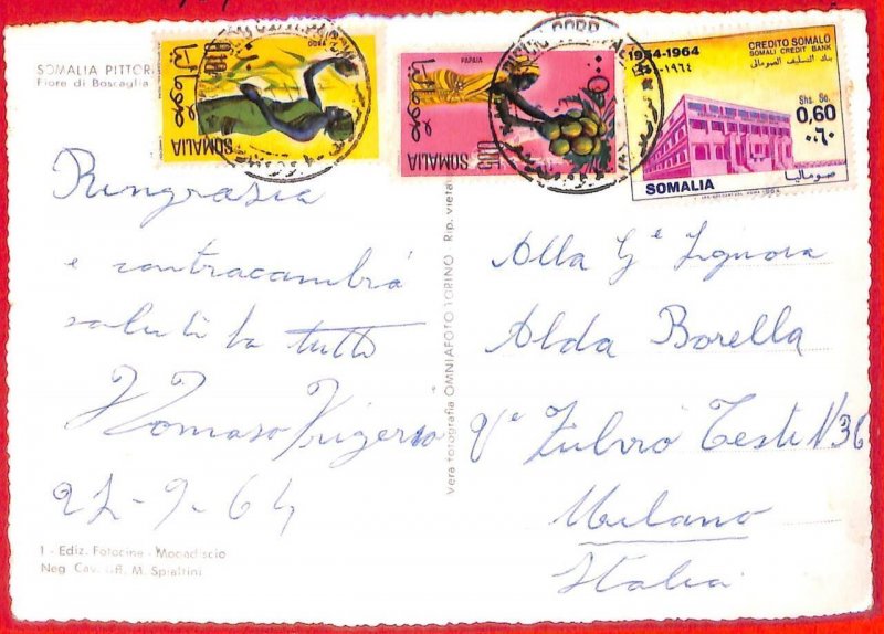 aa3931 - SOMALIA - Postal History - Postcard to ITALY 1964 - AGRICOLTURE banking