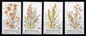 [66257] Bophuthatswana 1981 Flora Plants Grass  MNH