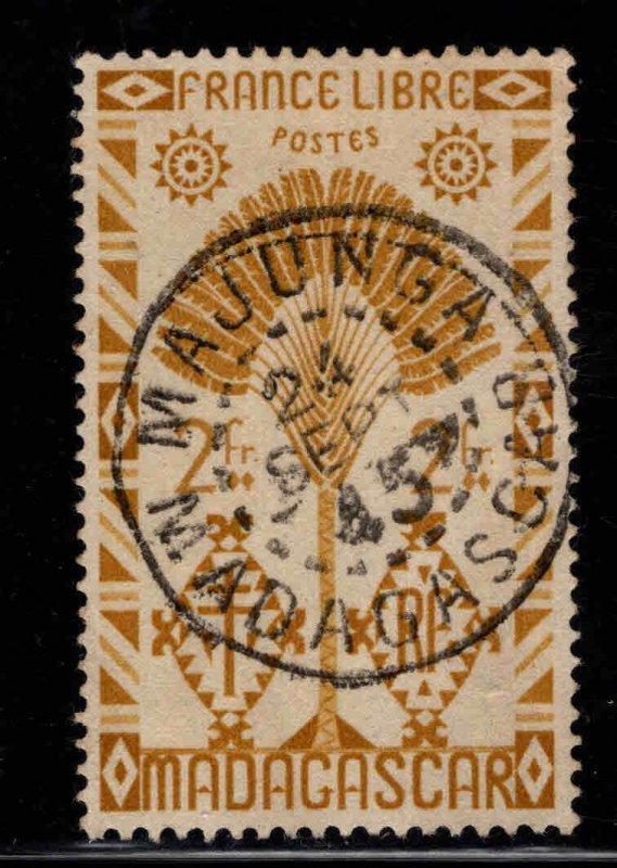 Madagascar Malagasy Scott 249 Used Traveler's Palm stamp nice cancel