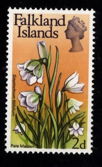 Falkland  Islands Scott 168 MNH** 1968 Flora stamp