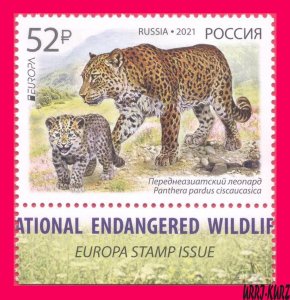 RUSSIA 2021 Europa CEPT Nature Fauna Endangered Wild Animals Big Cat Leopard 1v