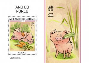 Mozambique 2019 MNH Year of Pig Stamps Chinese Lunar New Year 1v S/S II