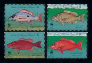 [75701] Turks & Caicos Islands 1998 Marine Life Fish  MNH