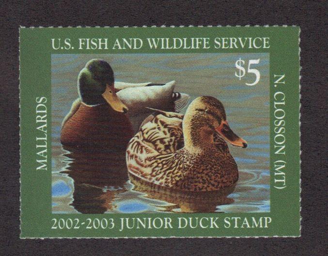 JDS10 Junior Duck Stamp. MNH.    #02 JDS10a