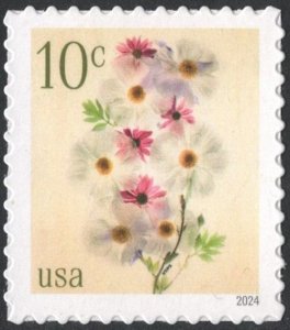NEW ISSUE: 10¢ Poppies and Coneflowers Single (2024) SA