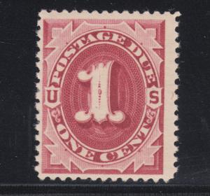 US Sc J22 MNH. 1891 1c claret Postage Due, unwatermarked, fresh