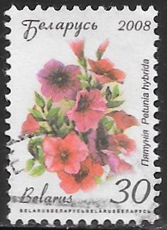 Belarus 661 Used - Flowers - Petunia