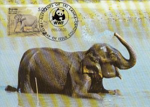 Sri Lanka 1986 Maxicard Sc #803c 5r Asian elephant WWF