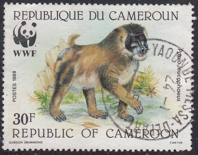 CAMEROUN #843   Used