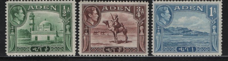 ADEN,     16-18  MINT HINGED