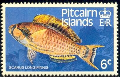 Fish, Highfin Parrotfish, Pitcairn Islands stmap SC#233 MNH