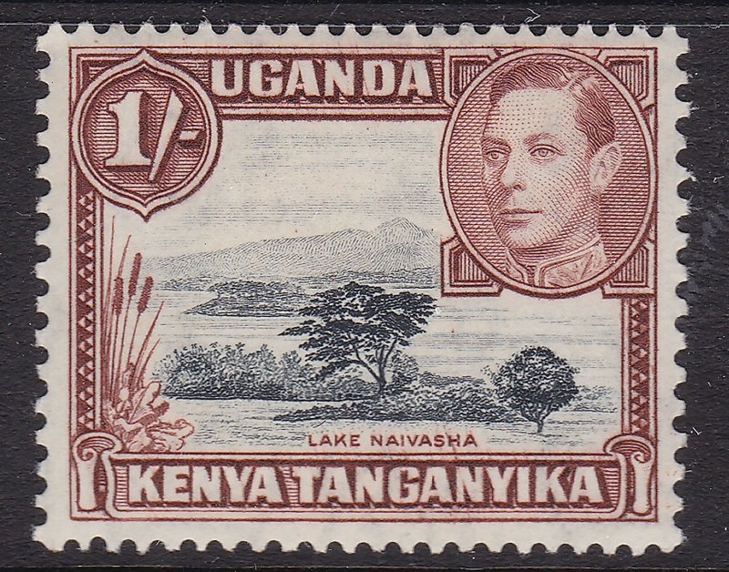  UGANDA /TANGANYKA/KENYA ^^^^sc# 8  KEY  high value   mint HR $$@ lar4993uga