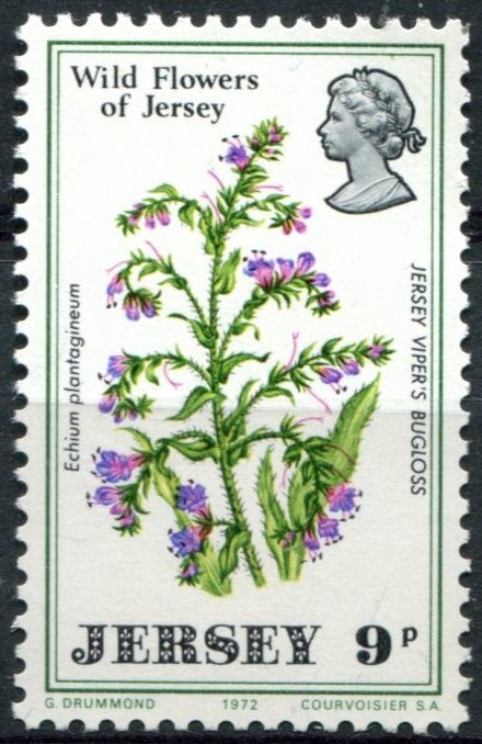 Jersey Sc#64 MNH, 9p multi, Wild Flowers of Jersey (1972)