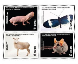 Nevis 2017 - Nat Geo Animals of the World - Sheet of 4 Stamps - MNH